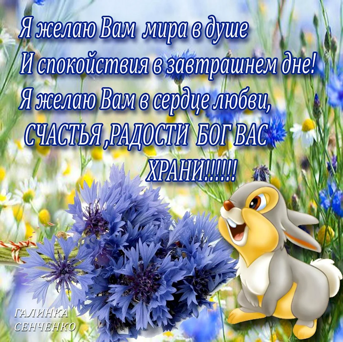 Пожелания душевного спокойствия и гармонии