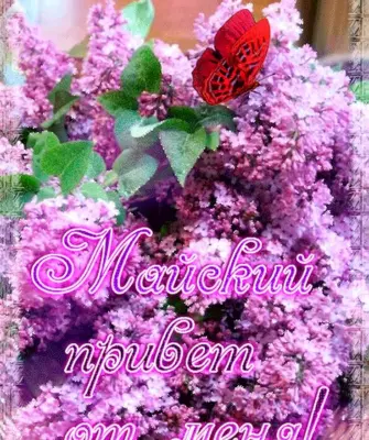 Прекрасного майского дея