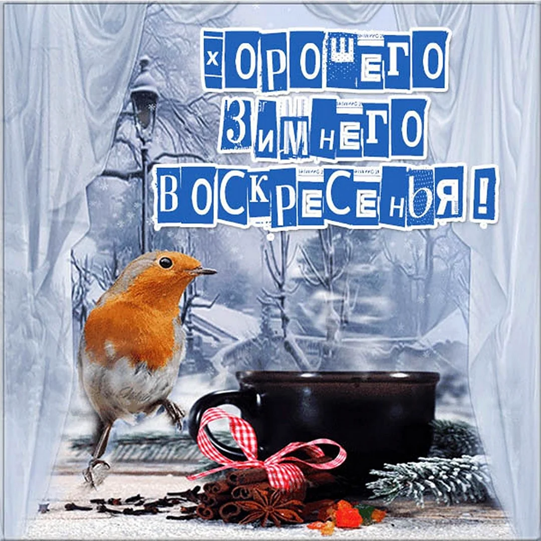 Прекрасного зимнего воскресенья