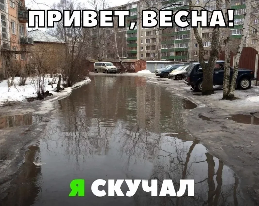 Приколы про весну