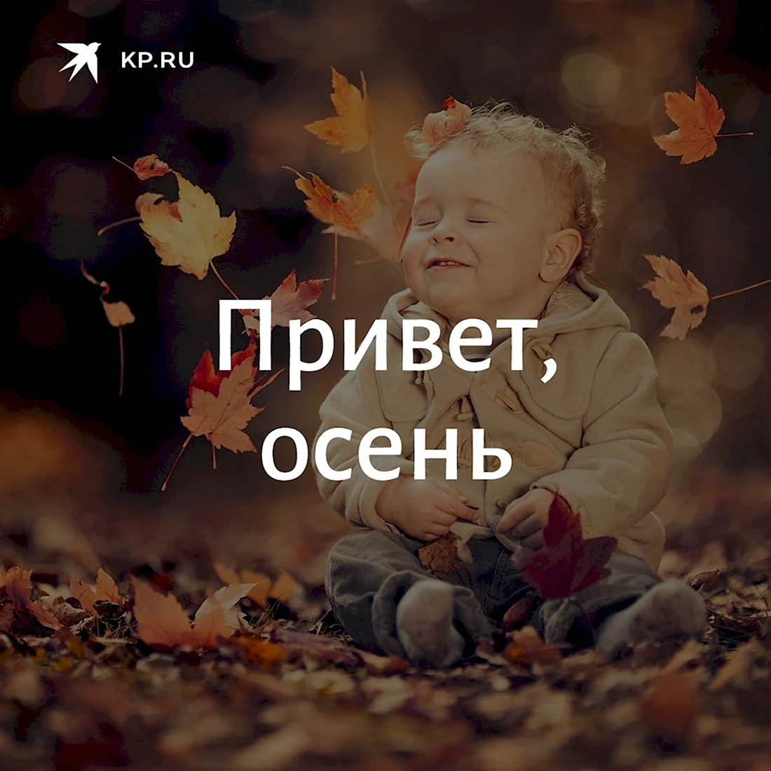 Привет осень
