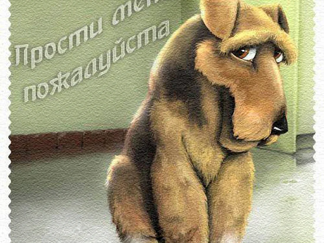 Прости картинки