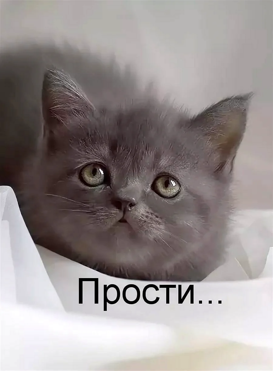 Прости меня