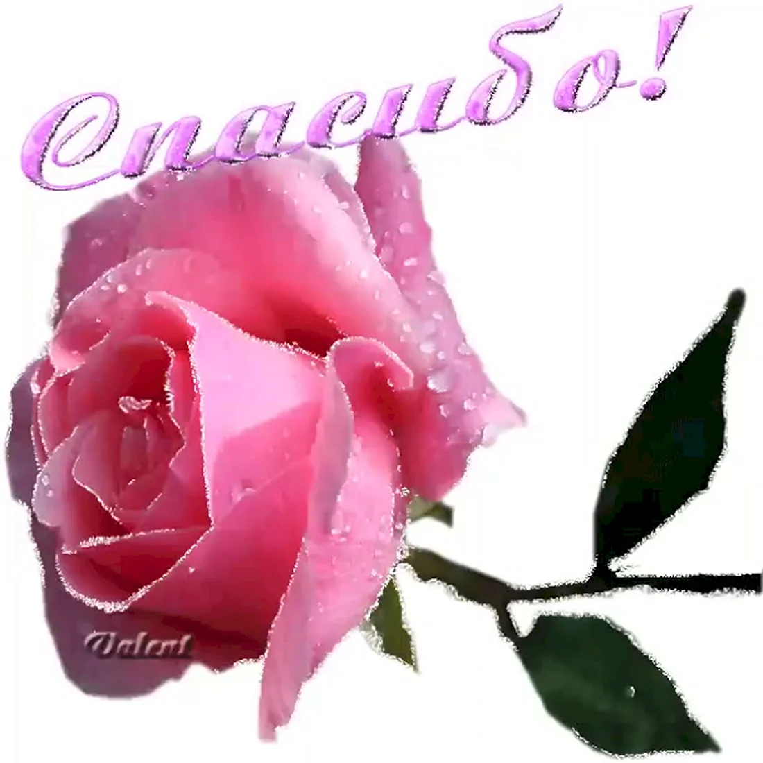 Рэхмэт