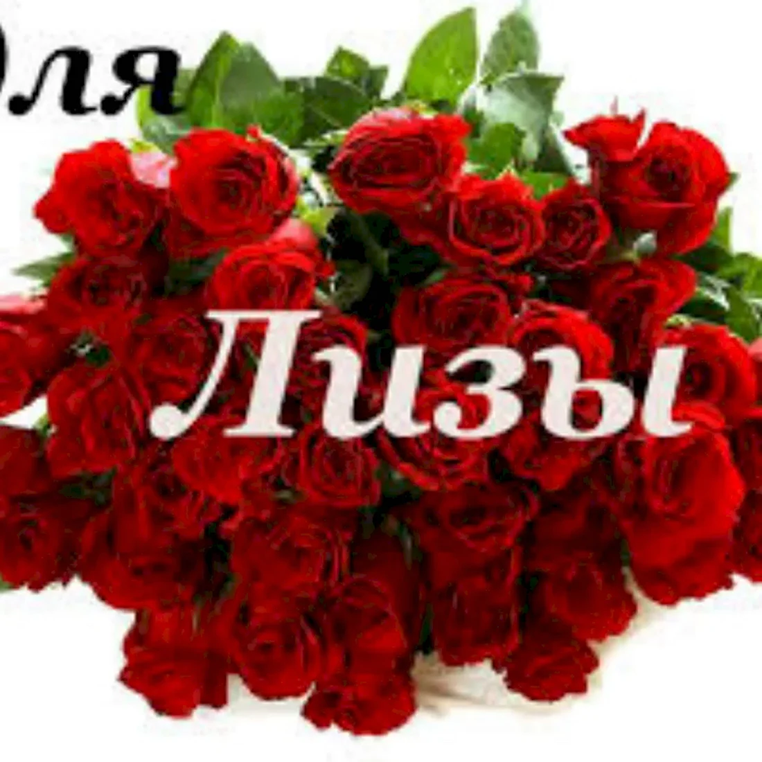 С днём рождения Лиза