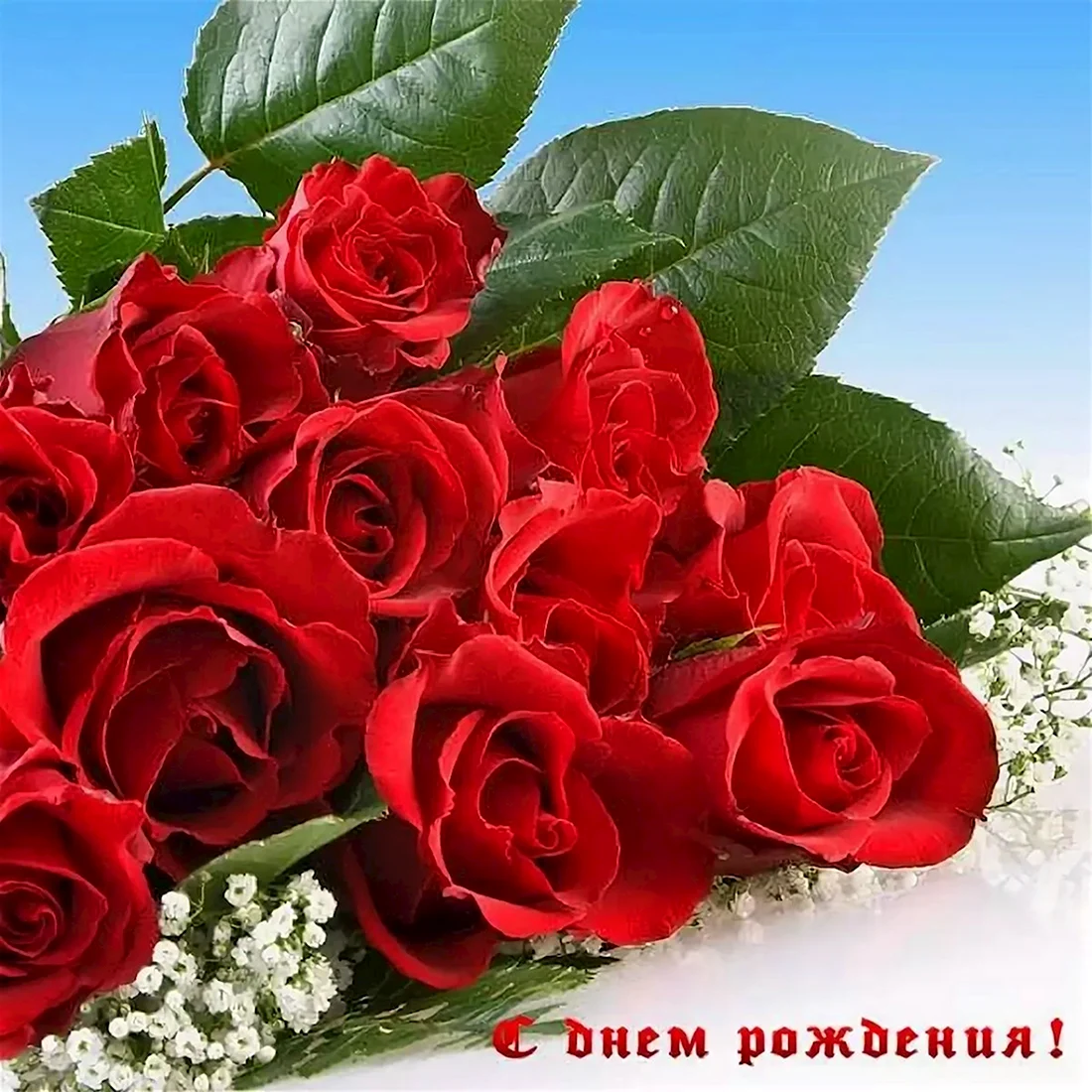 С днём рождения розы