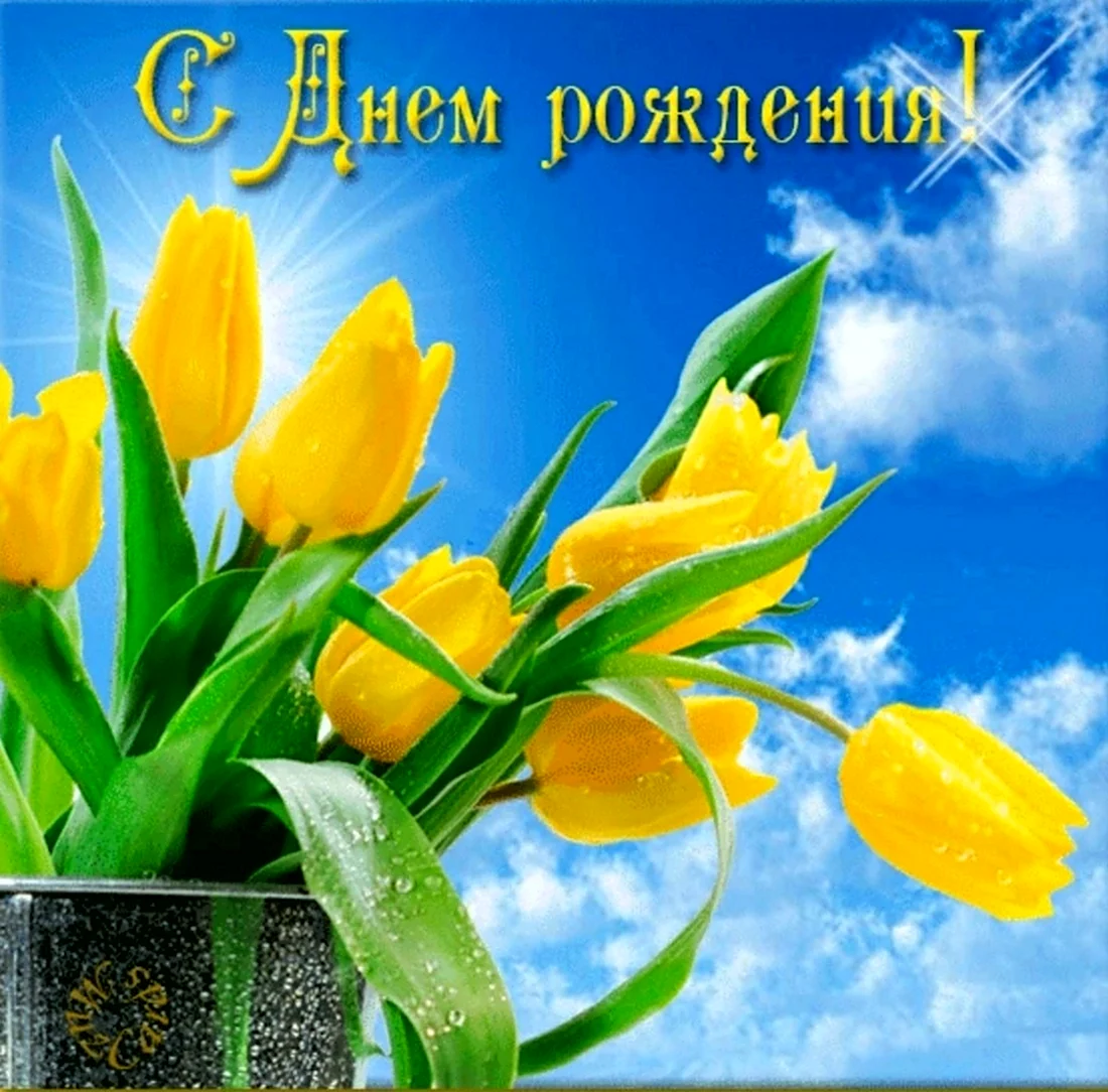 С днём рождения тюльпаны