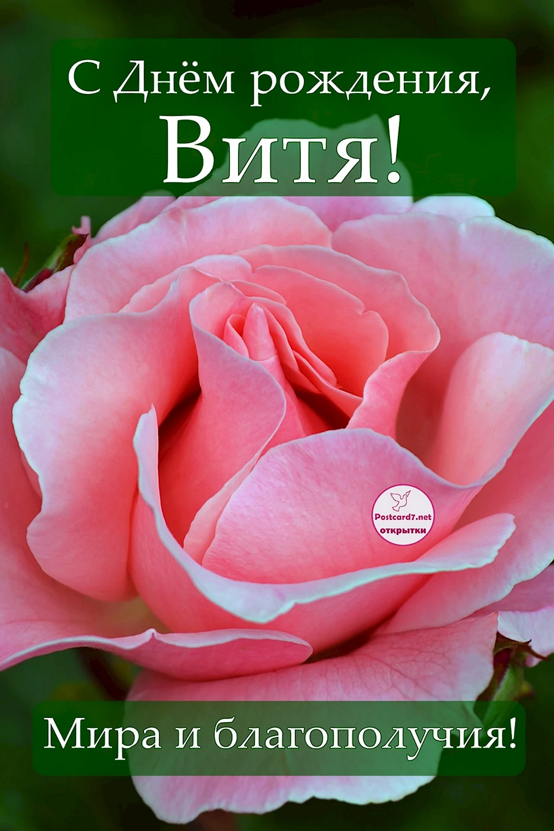С днём рождения Витя