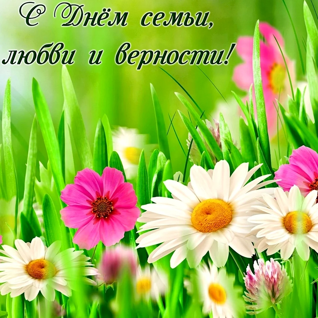С днём семьи любви и верности