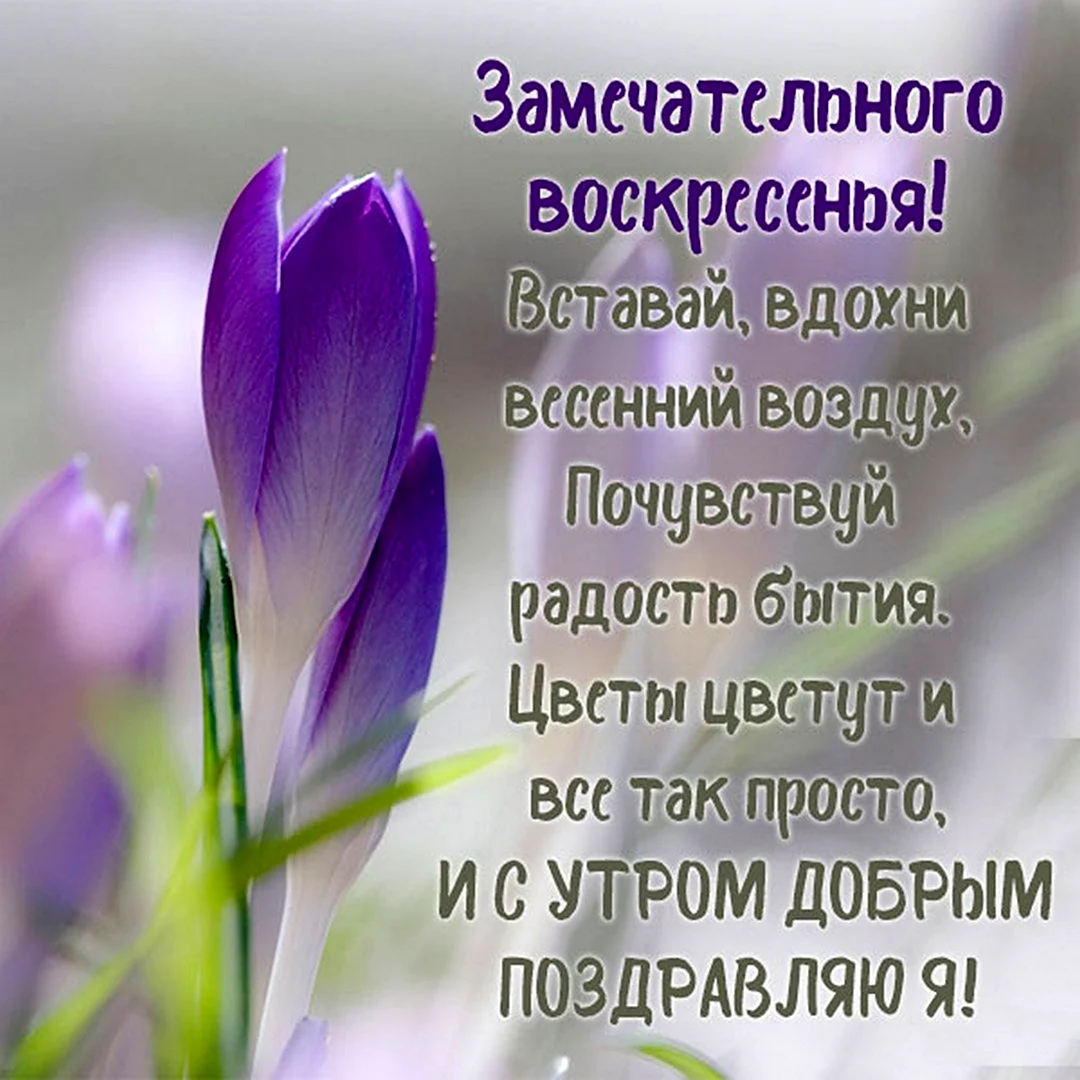 С добрым утром воскресенья весенние