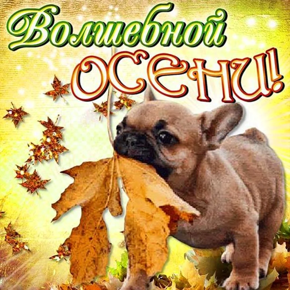 С первым днем осени