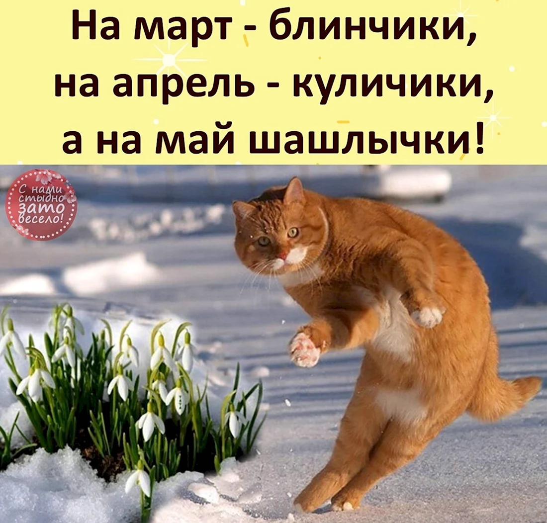 С весной прикольные