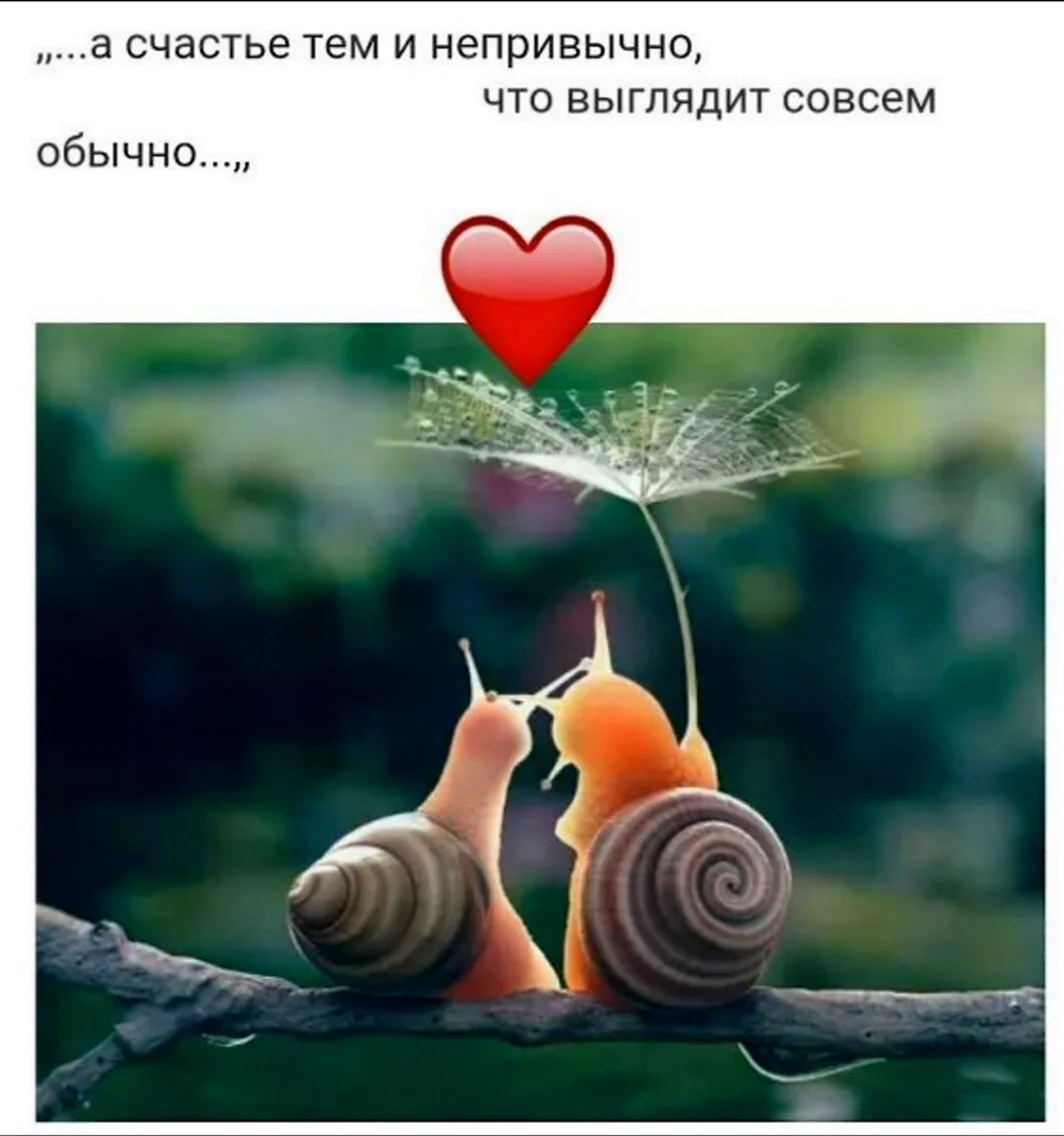 Счастье в каждом