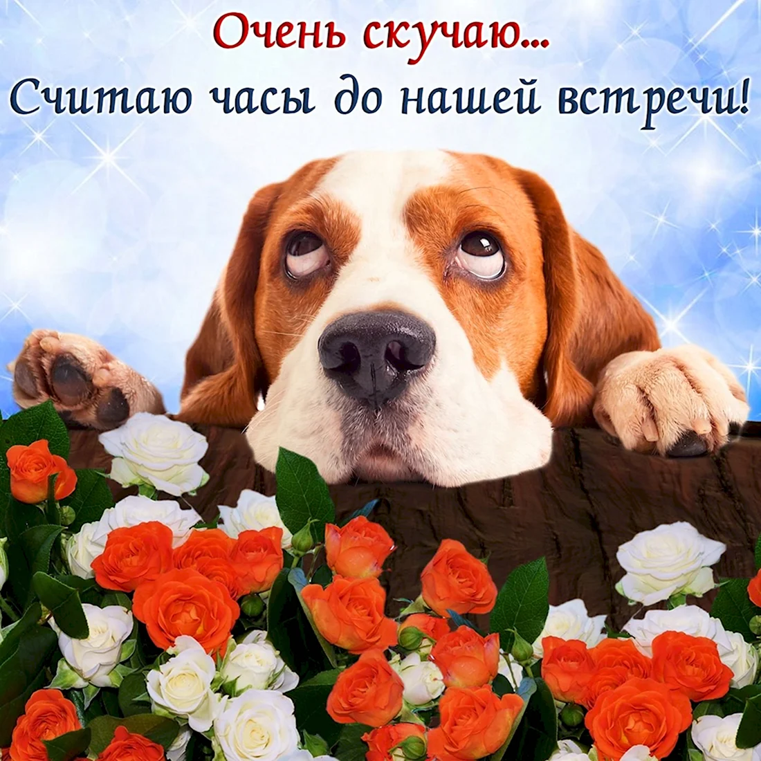 Скучаю