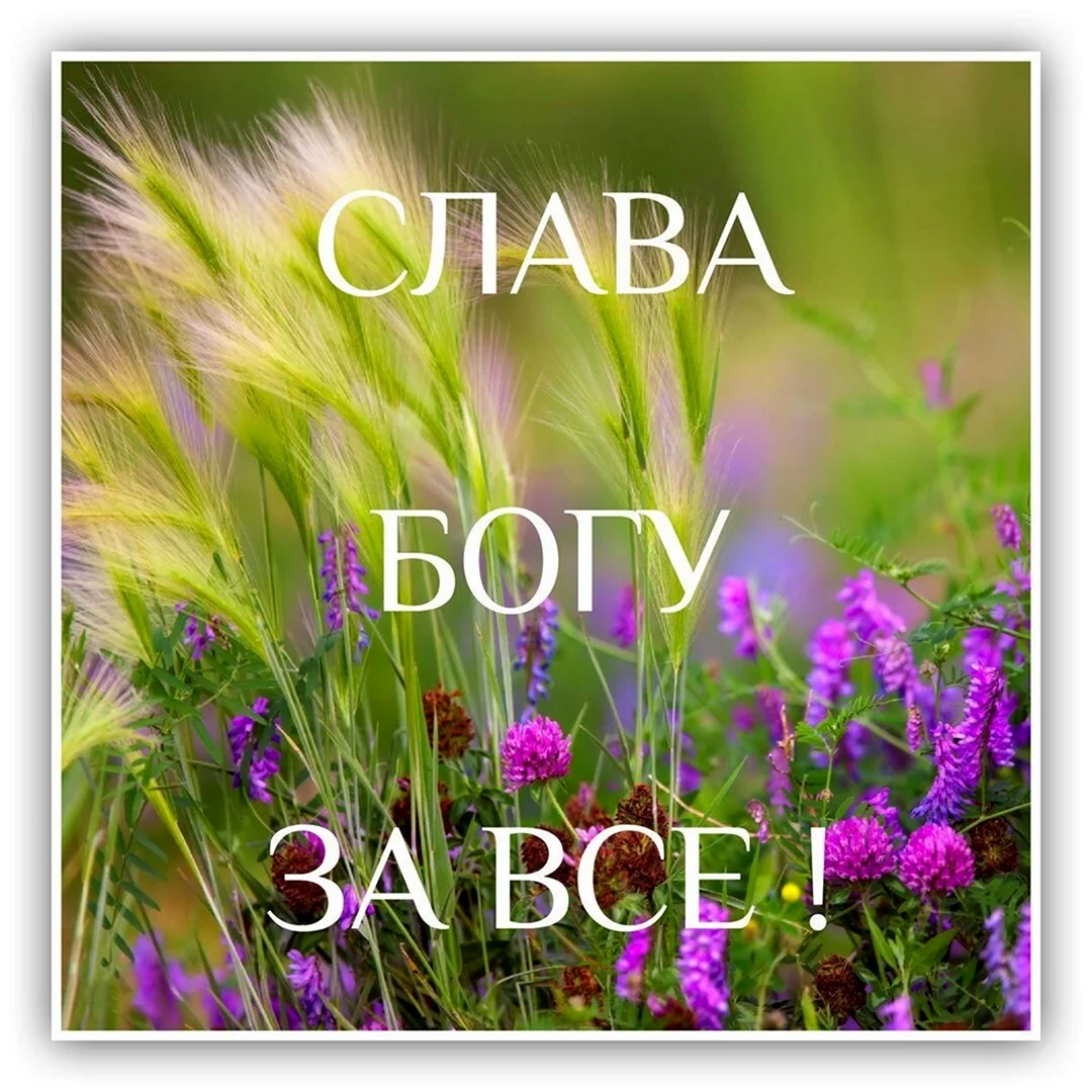 Слава Богу за все