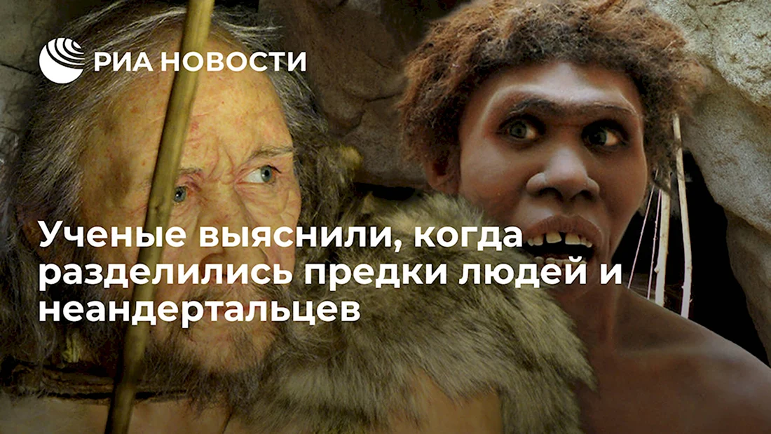 Современный человек скрещивался с неандертальцем