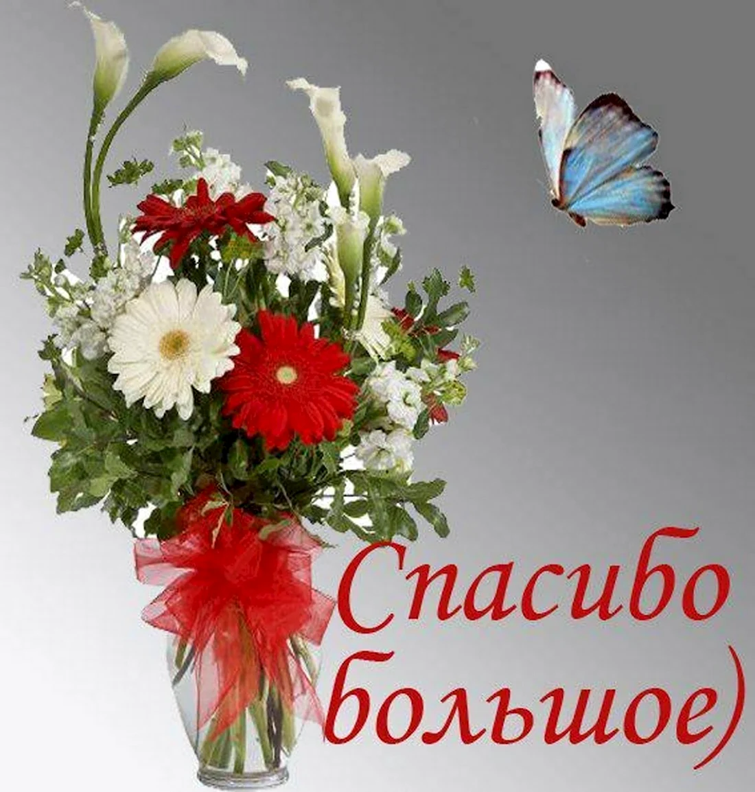 Спасибо большое