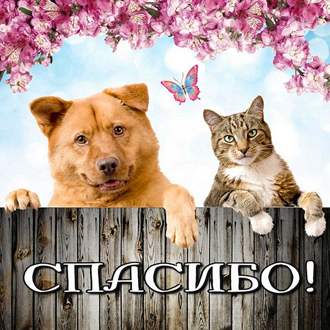 Спасибо брат за поздравления