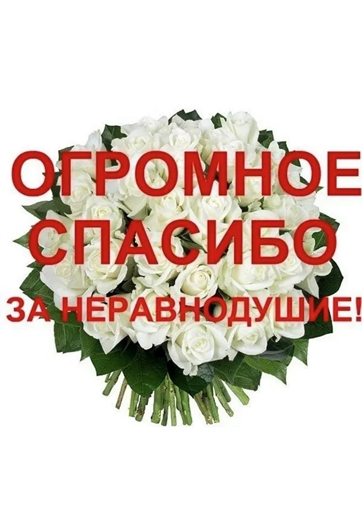 Спасибо за поддержку