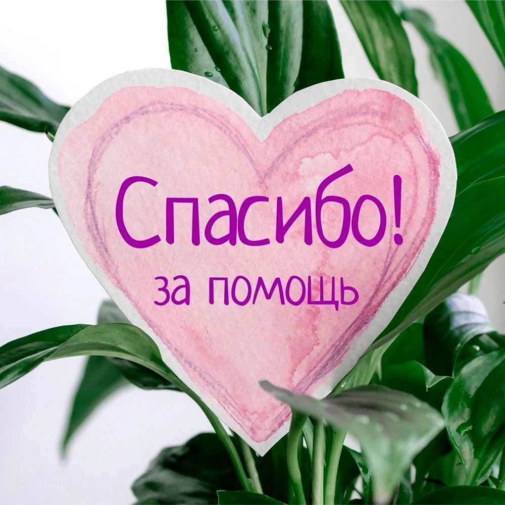 Спасибо за помощь