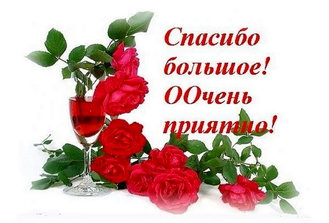 Спасибо за поздравления