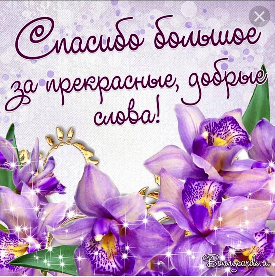 Спасибо за поздравления