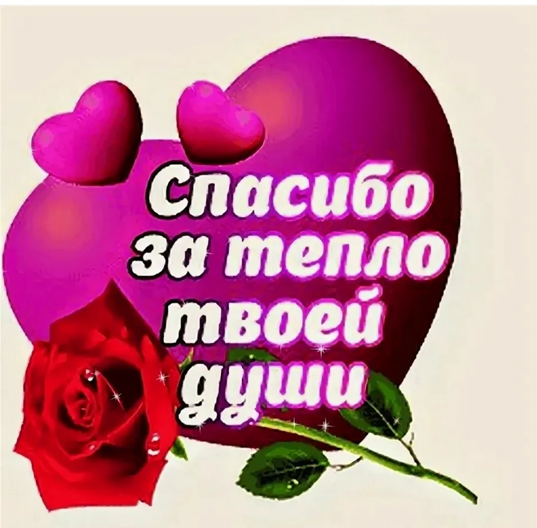 Спасибо за тепло