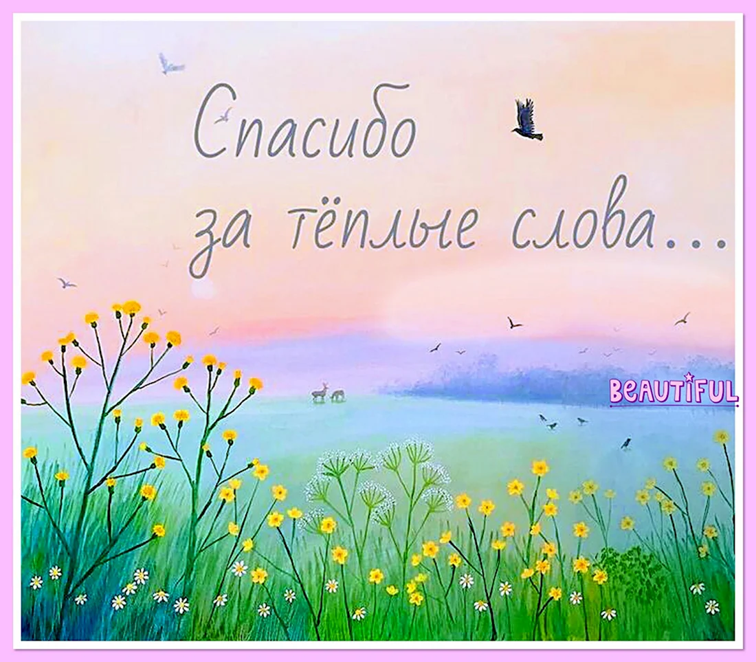 Спасибо за теплые слова