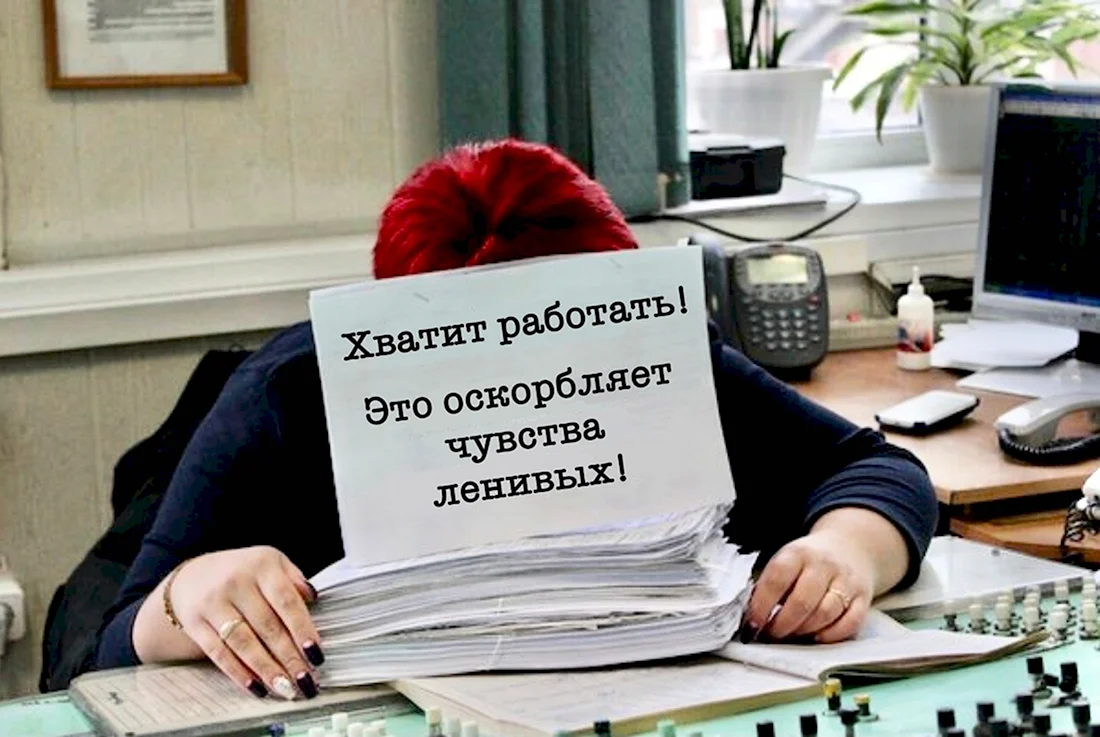 Спит на работе смешные