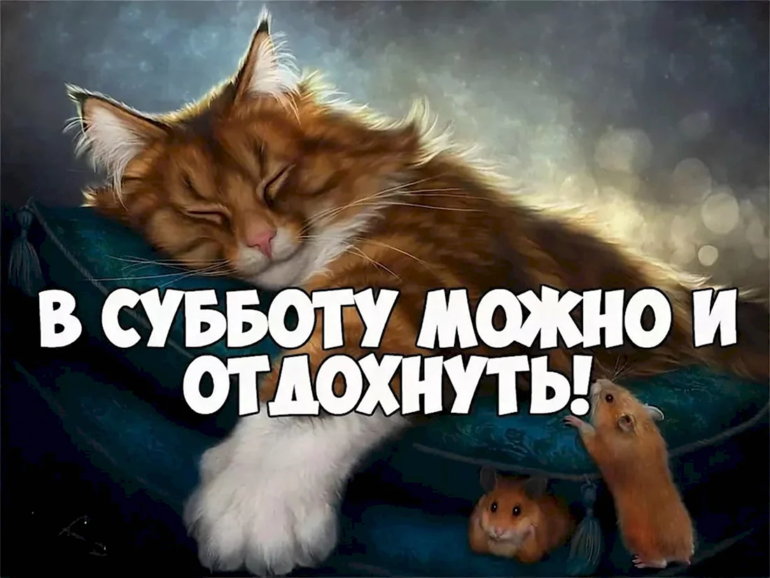 Суббота картинки прикольные