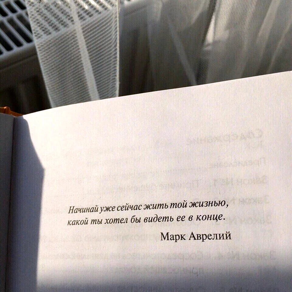 Цитаты из книг