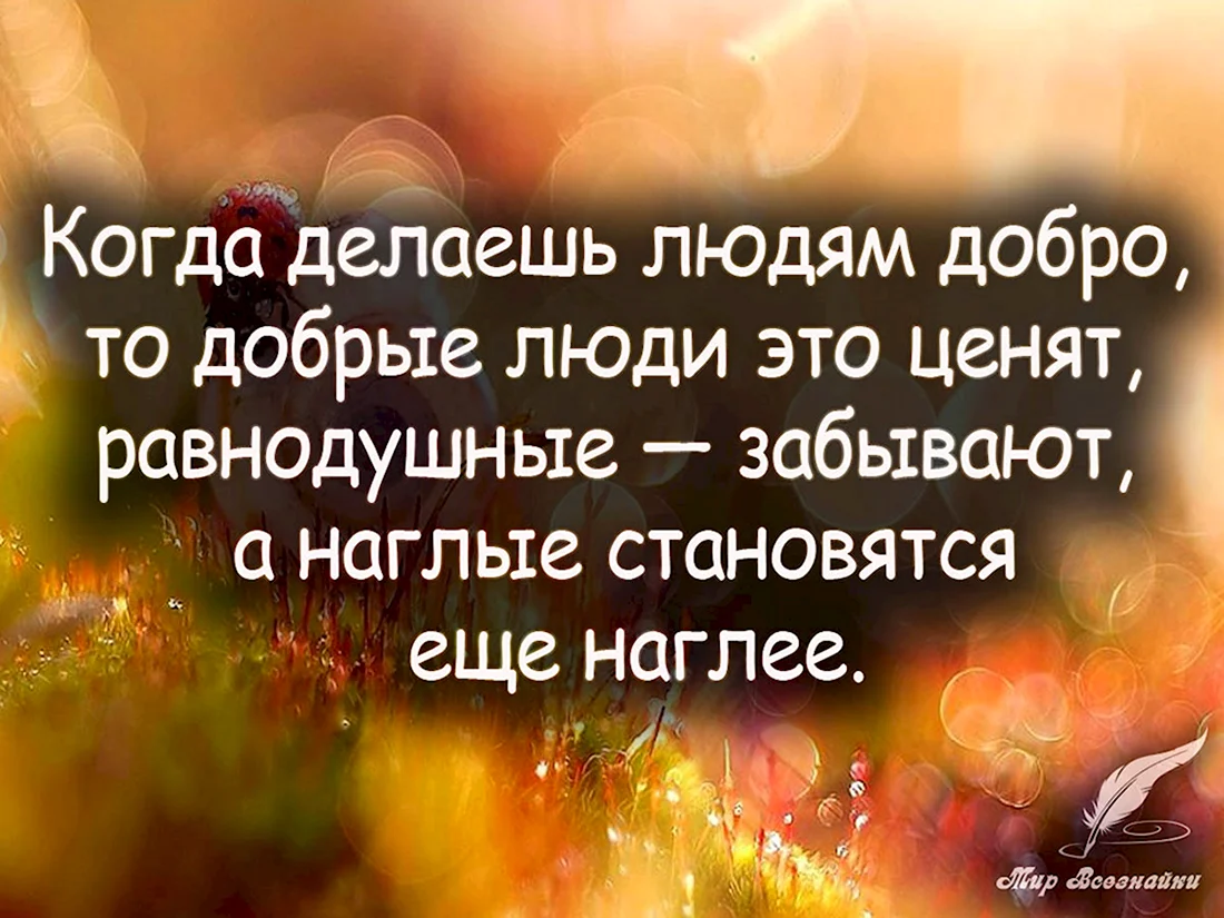 Цитаты про добро