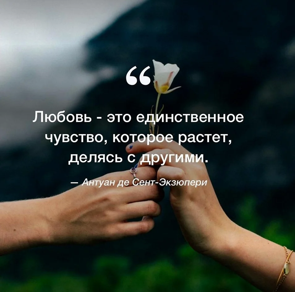Цитаты про любовь