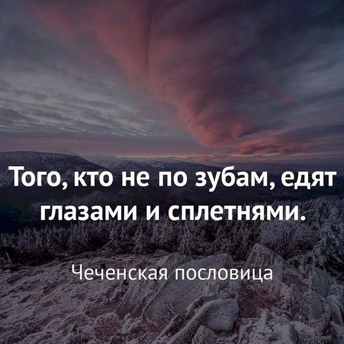 Цитаты со смыслом