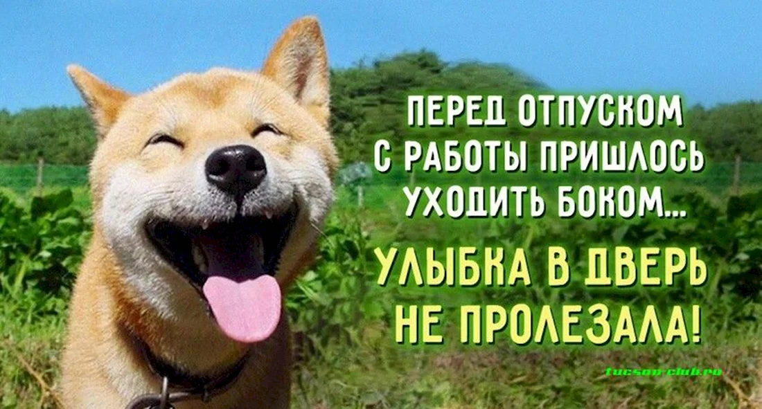 Ура отпуск