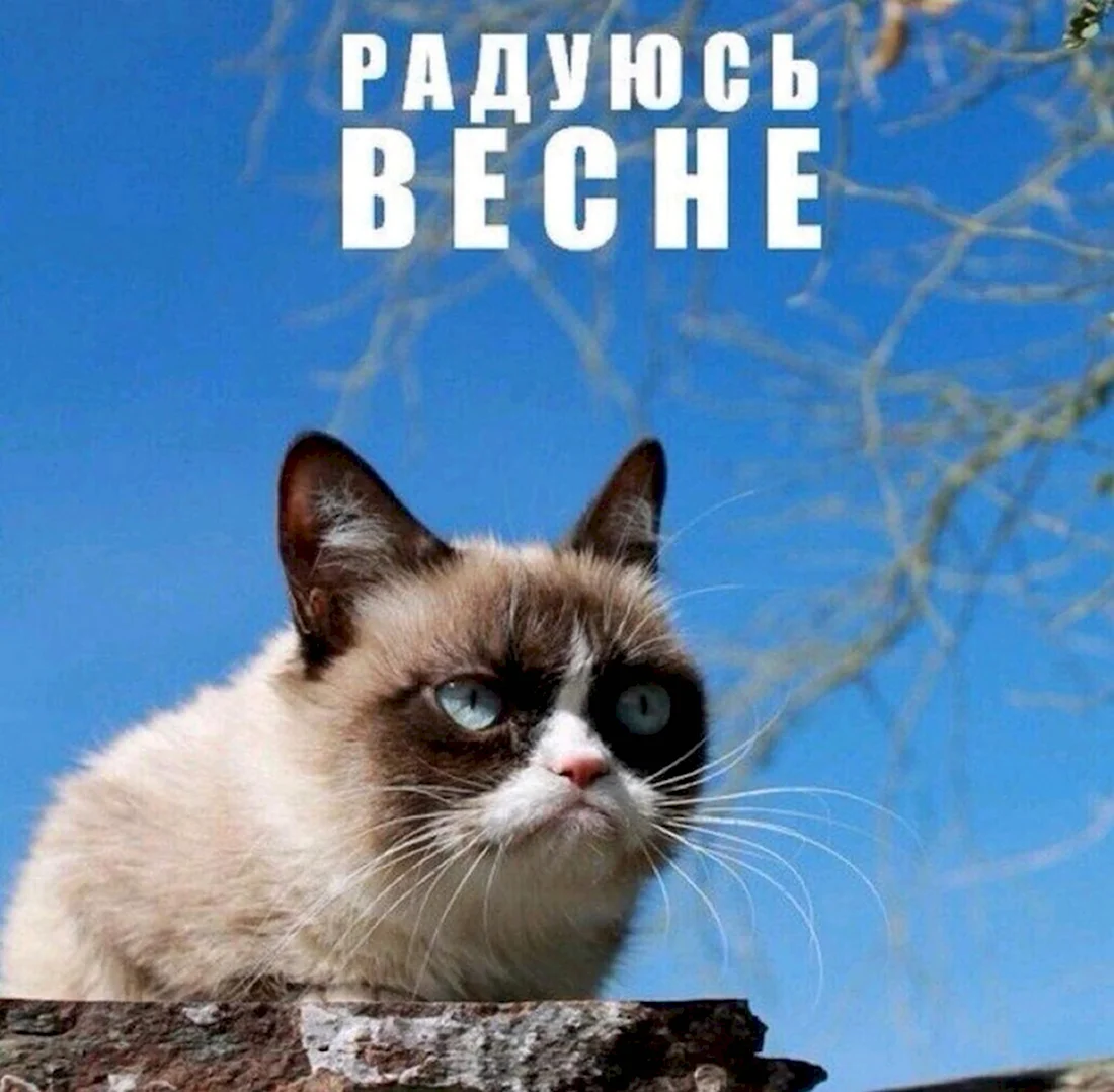 Весна прикольные