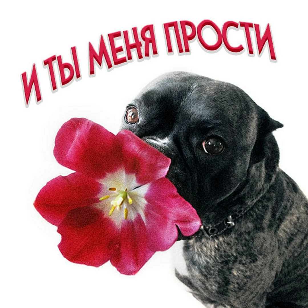 Все будет хорошо