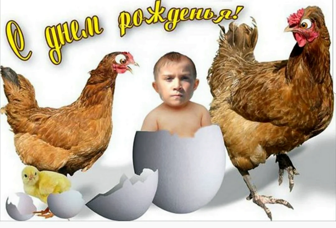 Всемирный день яйца картинки