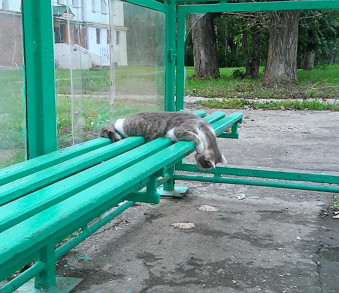Всякая ерунда