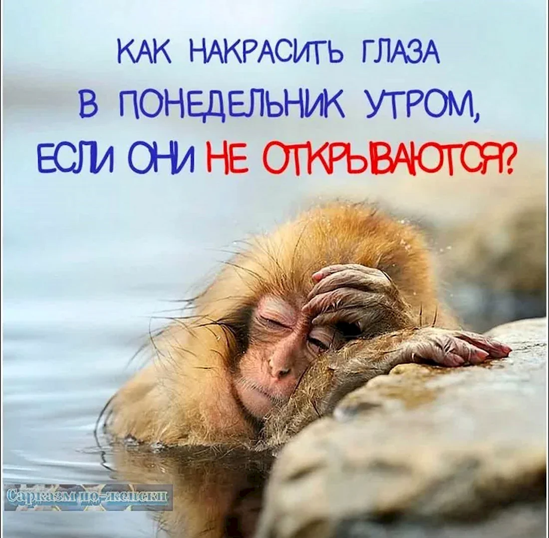 Выходные
