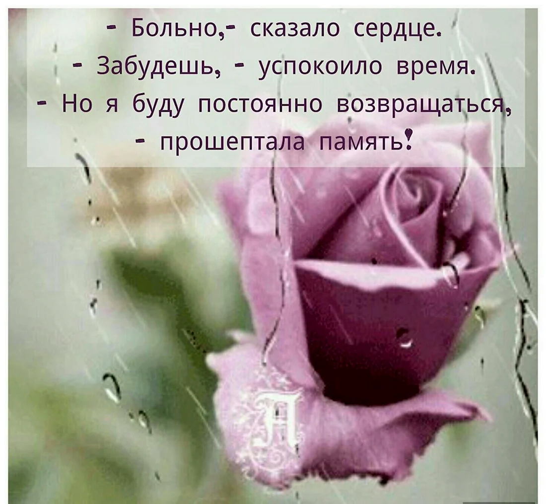 Высказывания о воспоминаниях