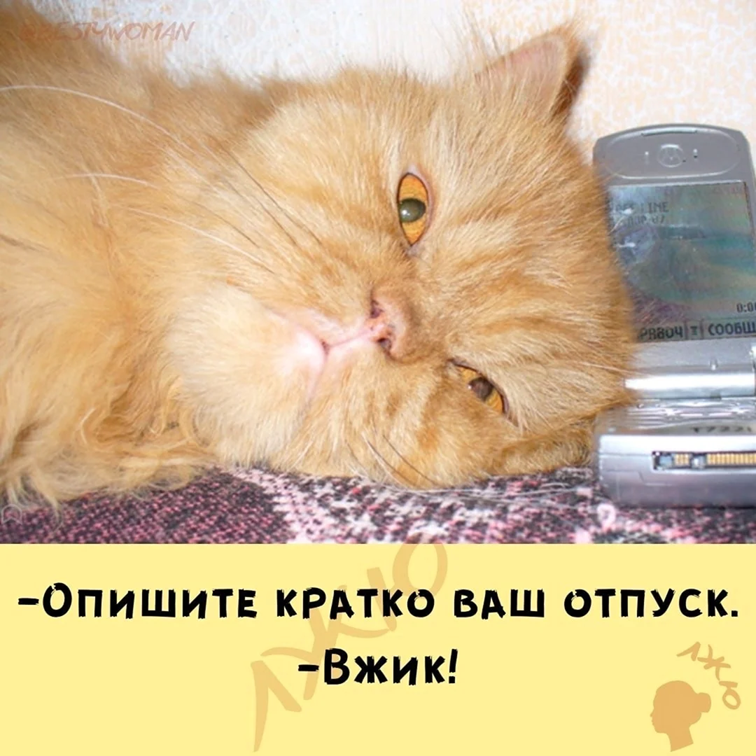 Жду твоего звонка