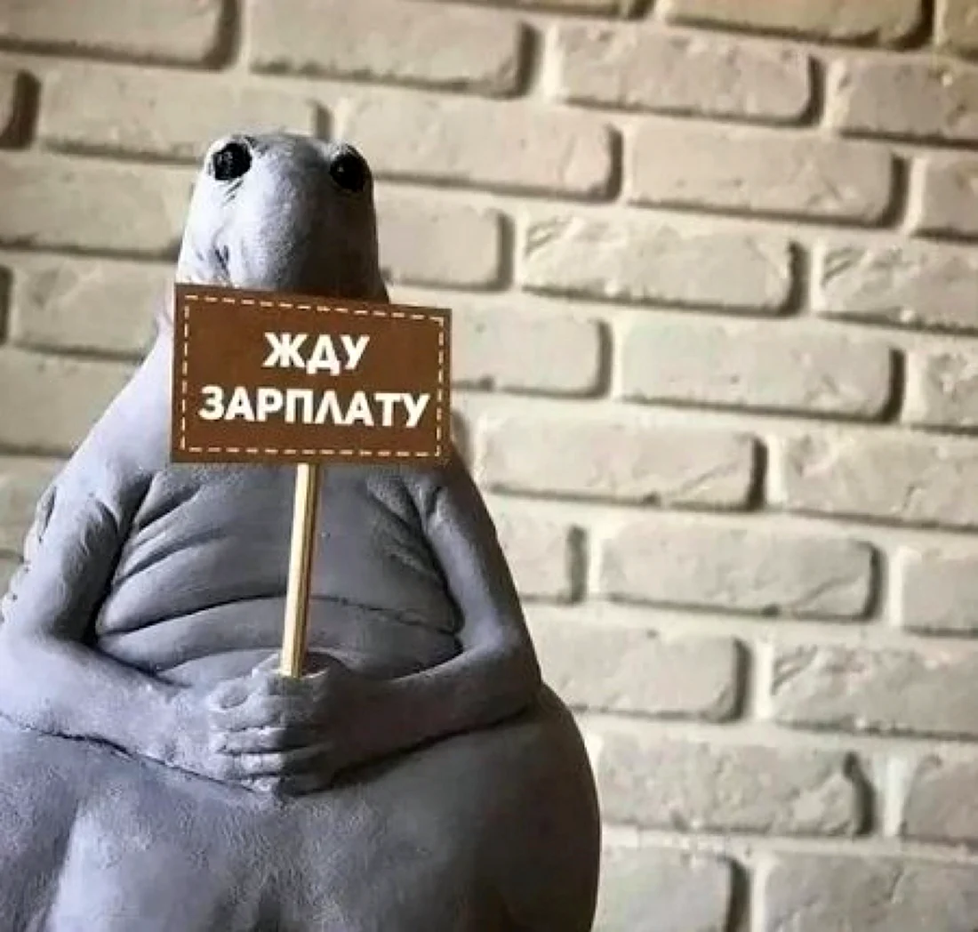Жду зарплату