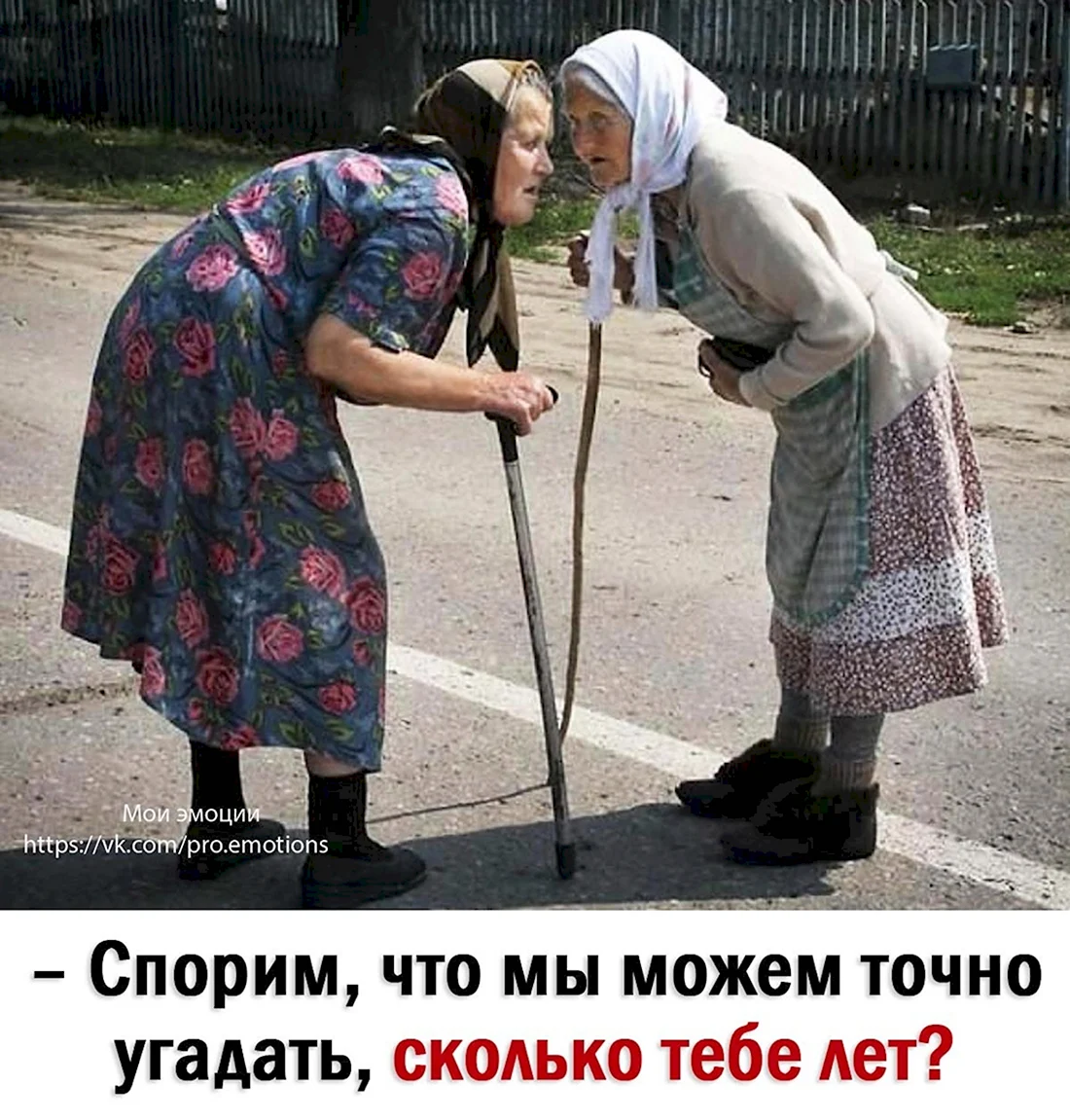 Женская Дружба