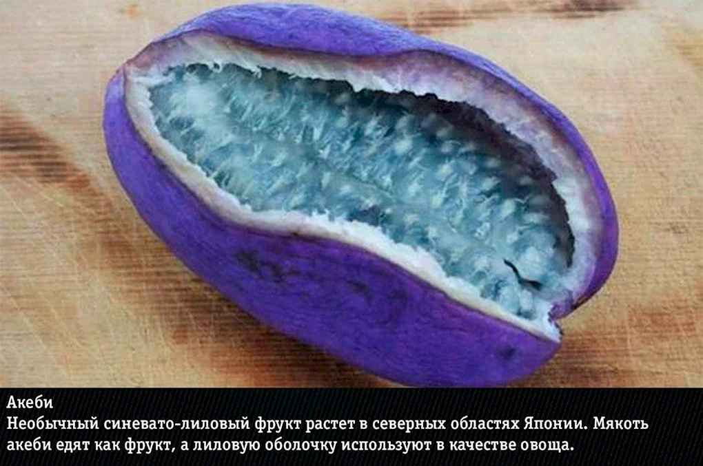 Акебия фрукт