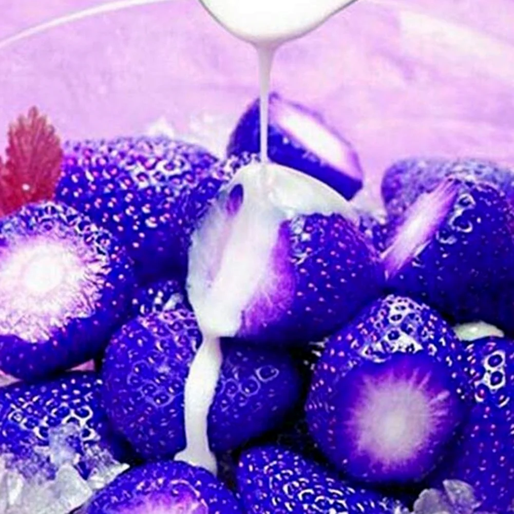 Фиолетовая клубника