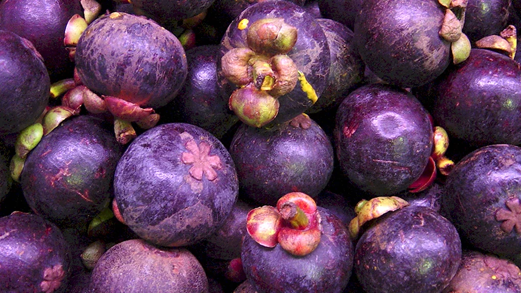 Фиолетовая маракуйя фрукт