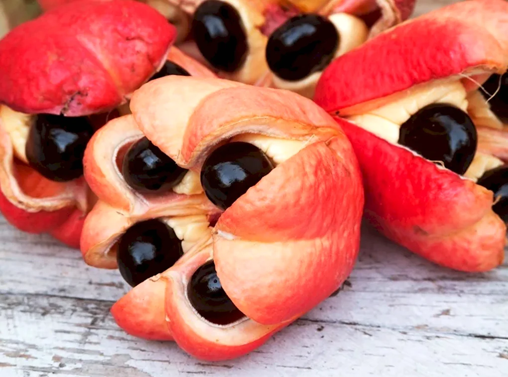 Фрукт Ackee Ямайка
