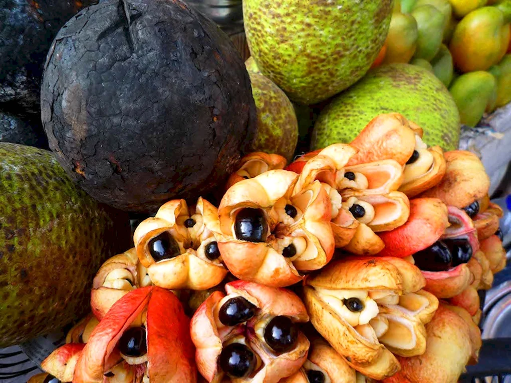 Фрукт Ackee Ямайка