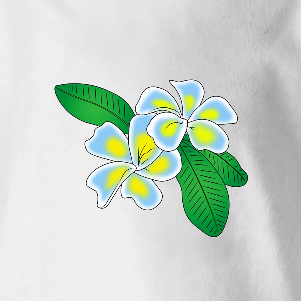 Гардения PNG